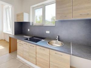 Pronájem bytu 1+kk, Králův Dvůr, Plzeňská, 22 m2