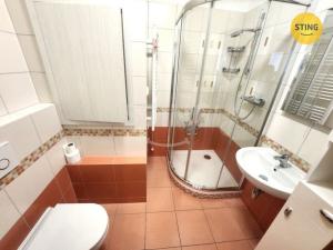 Pronájem bytu 2+1, Přerov, Palackého, 58 m2