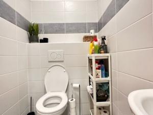 Pronájem bytu 2+1, Brno - Trnitá, Špitálka, 53 m2