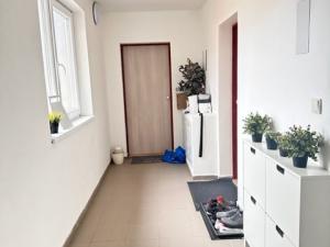 Pronájem bytu 2+1, Brno - Trnitá, Špitálka, 53 m2