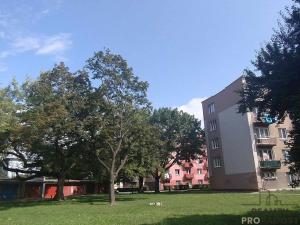 Pronájem bytu 3+kk, Břeclav, Růžičkova, 70 m2