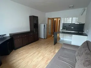 Pronájem bytu 1+kk, Praha - Zličín, Tulešická, 30 m2