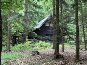 Prodej chaty, Krňany - Teletín, Teletín, 44 m2