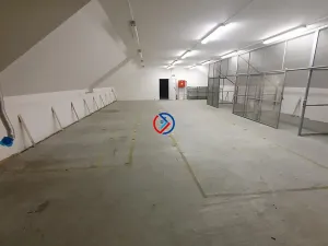 Pronájem výrobních prostor, Horka nad Moravou, 3665 m2
