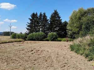 Prodej pozemku pro bydlení, Přepeře, 1020 m2