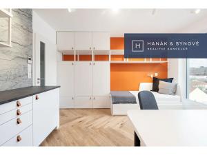 Pronájem bytu 1+kk, Brno, Chaloupkova, 21 m2