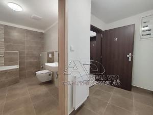 Pronájem atypického bytu, České Budějovice, Fráni Šrámka, 66 m2