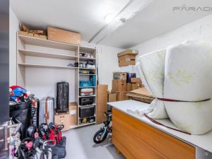 Pronájem bytu 3+kk, Praha - Holešovice, Sanderova, 116 m2