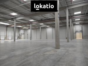 Pronájem skladu, Kozomín, 1155 m2