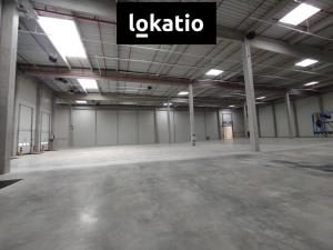 Pronájem skladu, Kozomín, 1155 m2