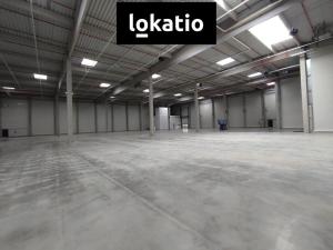 Pronájem skladu, Kozomín, 1155 m2