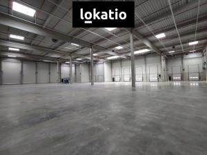 Pronájem skladu, Kozomín, 1155 m2