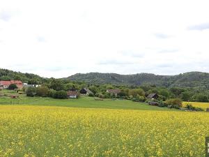 Prodej rodinného domu, Dubá, 212 m2