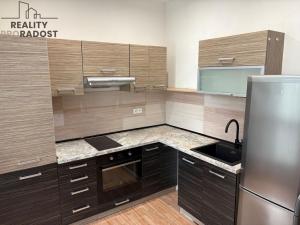 Pronájem bytu 1+1, Krupka, Bohosudovská, 45 m2