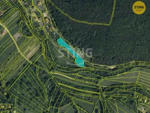 Prodej pozemku pro bydlení, Radějov, 3693 m2