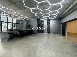 Pronájem obchodního prostoru, Brno - Štýřice, Heršpická, 505 m2