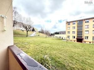 Prodej bytu 2+1, Meziboří, J. A. Komenského, 44 m2