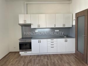 Pronájem bytu 1+kk, České Budějovice - České Budějovice 2, U Boru, 26 m2
