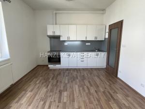 Pronájem bytu 1+kk, České Budějovice - České Budějovice 2, U Boru, 26 m2