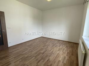 Pronájem bytu 1+kk, České Budějovice - České Budějovice 2, U Boru, 26 m2