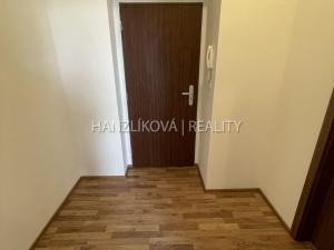 Pronájem bytu 1+kk, České Budějovice - České Budějovice 2, U Boru, 26 m2