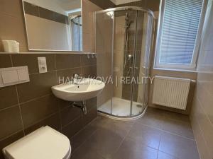 Pronájem bytu 1+kk, České Budějovice - České Budějovice 2, U Boru, 26 m2