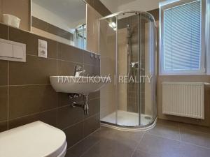 Pronájem bytu 1+kk, České Budějovice - České Budějovice 2, U Boru, 26 m2