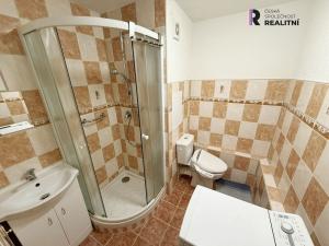 Prodej bytu 1+1, Horní Slavkov, Dlouhá, 35 m2