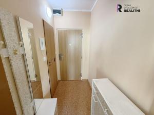 Prodej bytu 1+1, Horní Slavkov, Dlouhá, 35 m2