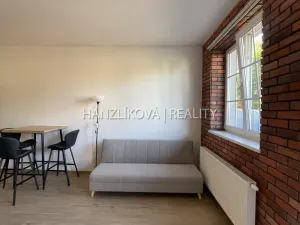Pronájem bytu 2+kk, České Budějovice, 56 m2