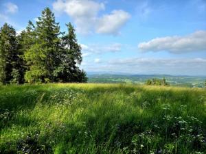 Prodej louky, Vlastiboř, 10451 m2