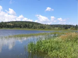 Dražba pozemku, Lipí, 480 m2