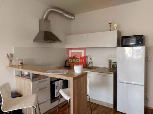 Pronájem bytu 1+kk, Olomouc, Aloise Rašína, 30 m2