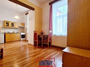 Pronájem bytu 1+kk, České Budějovice - České Budějovice 3, 32 m2