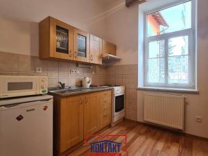 Pronájem bytu 1+kk, České Budějovice - České Budějovice 3, 32 m2
