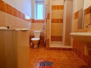 Pronájem bytu 1+kk, České Budějovice - České Budějovice 3, 32 m2