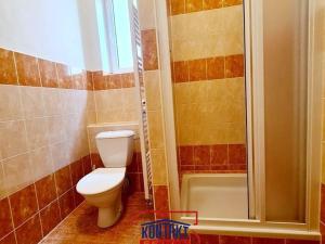 Pronájem bytu 1+kk, České Budějovice - České Budějovice 3, 32 m2
