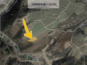 Prodej louky, Nižbor - Stradonice, 7186 m2