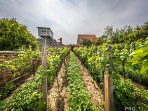 Prodej rodinného domu, Žeravice, 140 m2