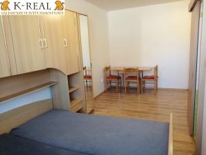 Pronájem bytu 1+kk, Chudčice, 29 m2