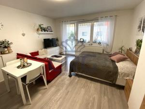 Pronájem bytu 1+kk, Slavkov u Brna, 39 m2