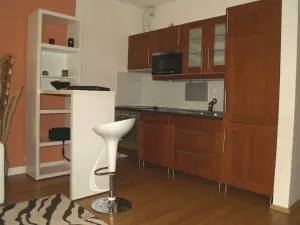 Pronájem bytu 1+kk, Praha - Žižkov, Kališnická, 39 m2