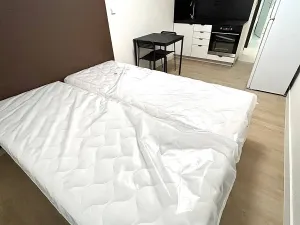 Pronájem bytu 1+kk, Praha - Vysočany, Poděbradská, 25 m2