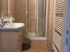 Prodej činžovního domu, České Budějovice, K. Fleischmanna, 250 m2