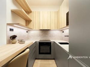 Pronájem bytu 2+kk, Brno, Leitnerova, 54 m2