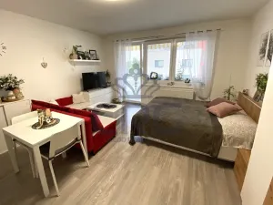Pronájem bytu 1+kk, Slavkov u Brna, Zelnice II., 39 m2