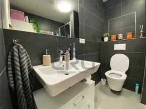 Pronájem bytu 1+kk, Slavkov u Brna, Zelnice II., 39 m2
