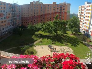 Prodej bytu 3+1, České Budějovice, J. Bendy, 78 m2