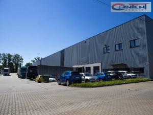 Pronájem skladu, Ostrava - Přívoz, Palackého, 609 m2
