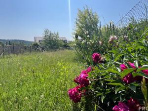 Prodej pozemku pro bydlení, Svinošice, 912 m2